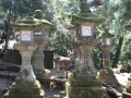 Steinerne Tempellampen mit Reh in Nara