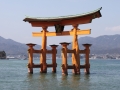 Torij des Itsukushima Schreins