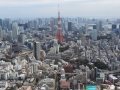 Tokyo Skyline